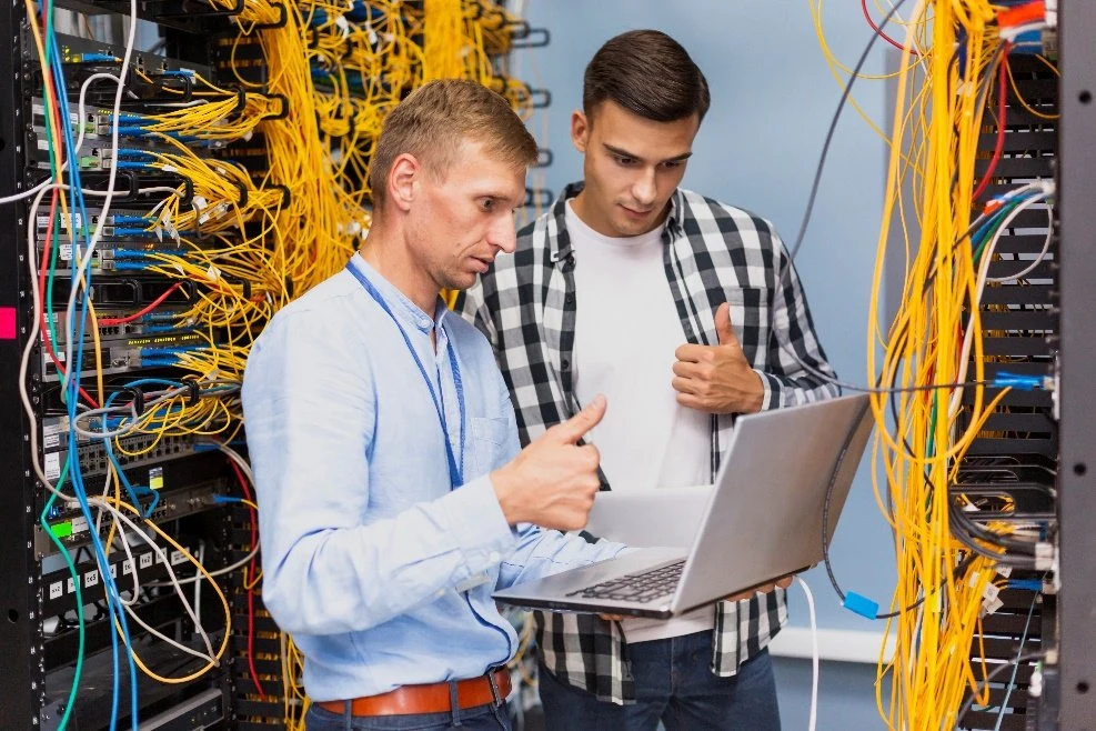 IT Professional Services